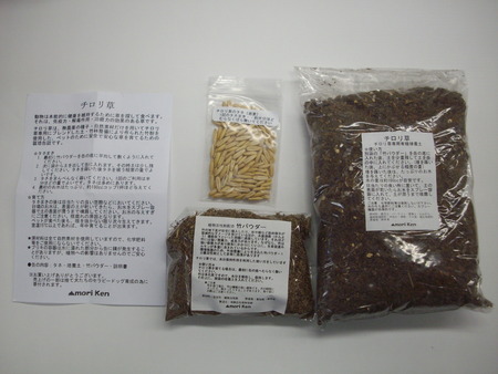チロリ草 004中身