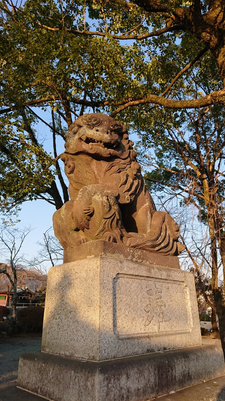 お重箱　五段　『龍　狛犬　富士山』 お重箱 五段 『龍 狛犬 富士山』