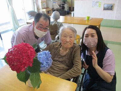 紫陽花の花 ひびきのもり さわやか 日記 紫陽花の花 ひびきのもり さわやか 日記