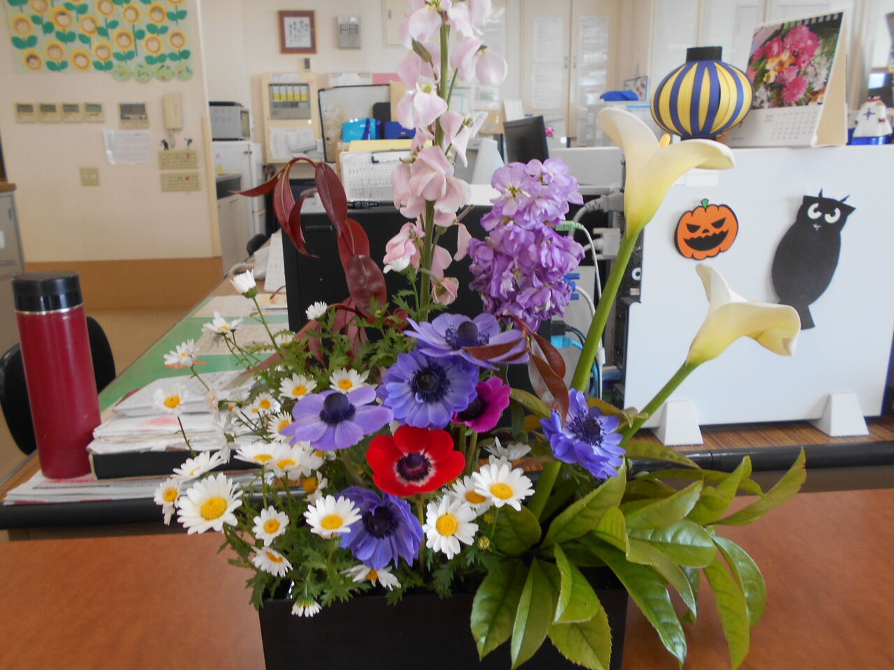 園庭の花 ひびき園 さわやか 日記