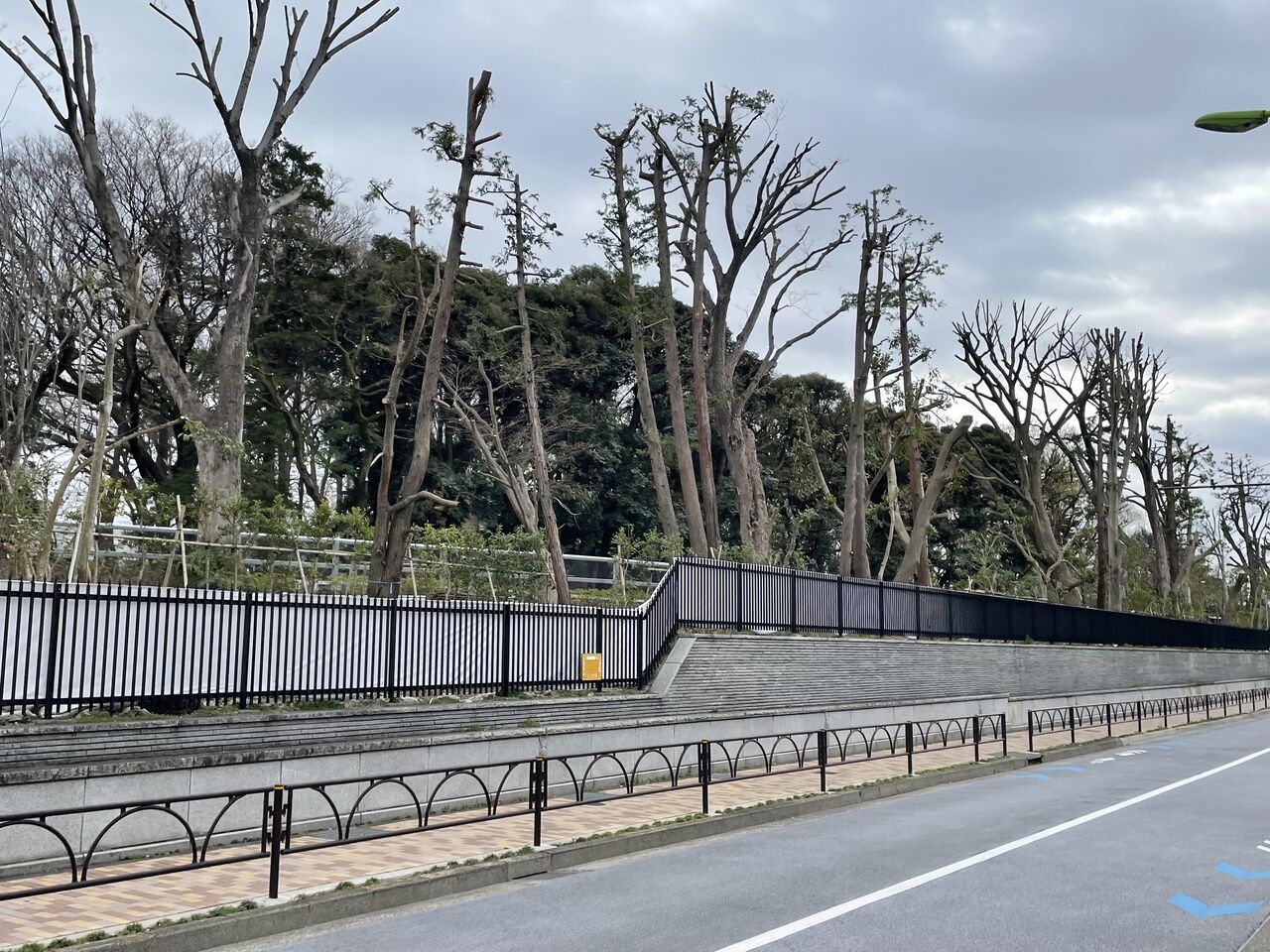 馬事公苑のフェンスが取り外され始めています さわやか 日記