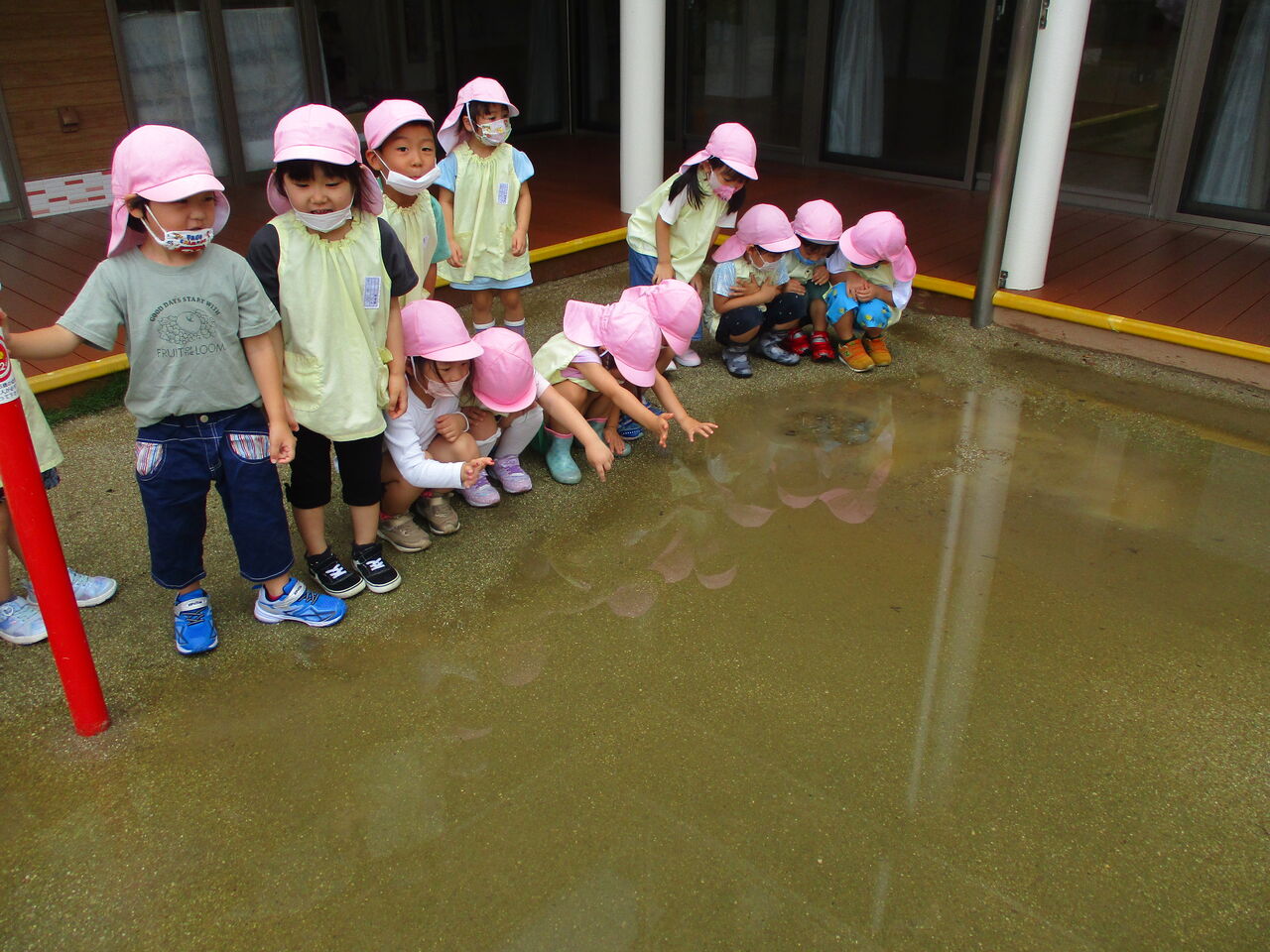 雨の日の外遊び かぜぐみ あだちのもり保育園 さわやか 日記
