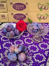 生プルーン　サマーキュート　2025