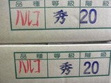 P1010348