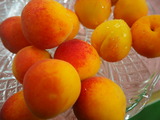 P1011380