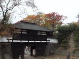 P1011095