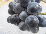P1012427