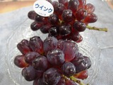 P1011068
