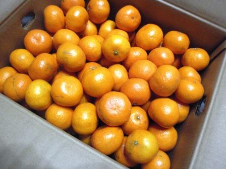 ASAMANA manager's-blog ASAMANAマネージャ...
