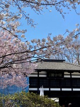 門