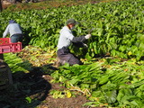 P1014454