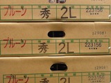 P1011203