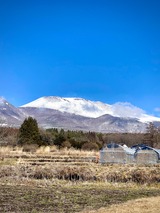 IMG_9665