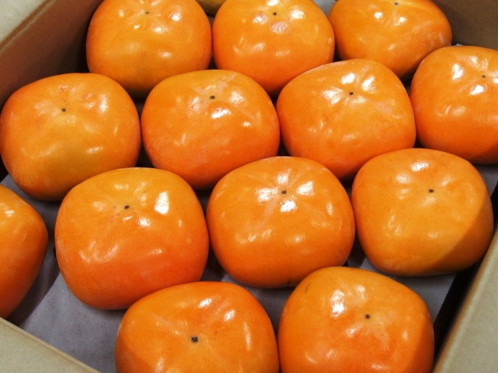 佐渡特産 おけさ 刀根早生 柿 好評販売中 Asamana Manager S Blog