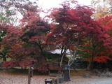 P1014115