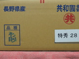 P1013239