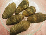 P1015201