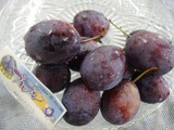 P1010145