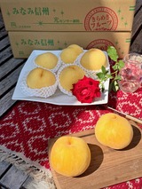 黄金桃　２０２５ピーチ