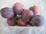 P1017024