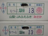 P1010363