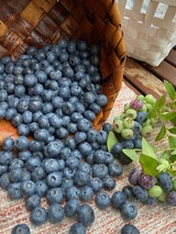 生ブルーベリー (2)
