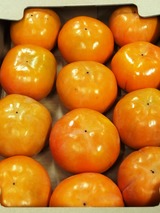 P1011544