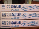 PB230636
