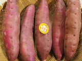 P1010361