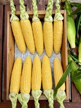 フルーツとうもろこし