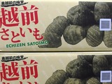 P1011880