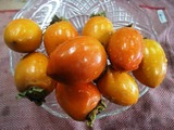 P1010103