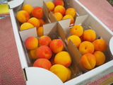 P1011372