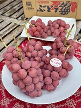 クイーンニーナ　2025