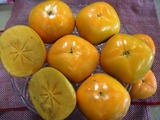 P1010120