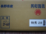 P1010181