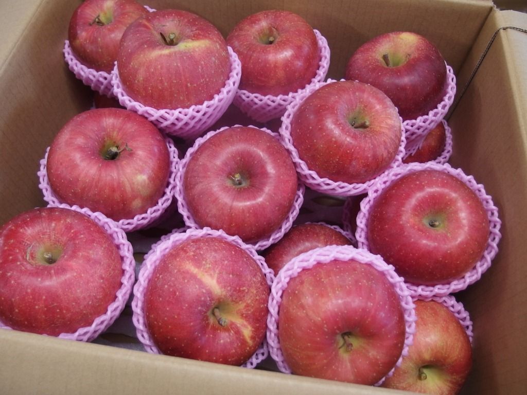 立科産 ご家庭用りんご やたか 早生ふじ 好評販売中 Asamana Manager S Blog