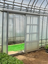 野菜苗 9