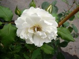P1010150
