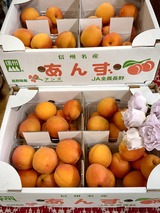 信州サワー