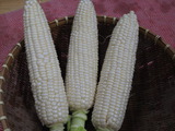 P1017721
