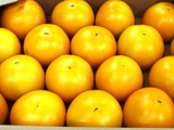 P1010164