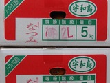 P1012067