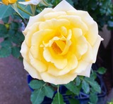 209F1277-119F-4C67-A0F0-F892FED28172