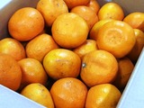 P1012070
