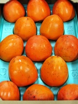 P1011303