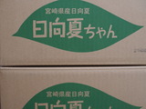 P1012191 (3)