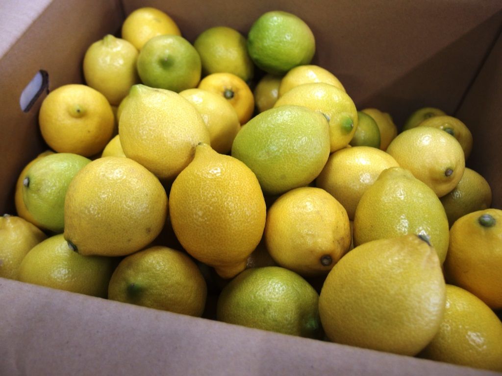 瀬戸内海で育まれた グリーンレモン 好評販売中 Asamana Manager S Blog