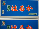 P1011932 (3)