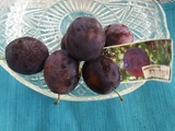 P1010754